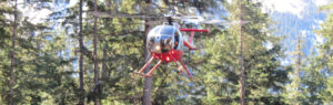 Chopper in action 2